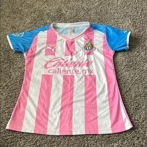Puma Pink and Blue Striped Chivas Shirt